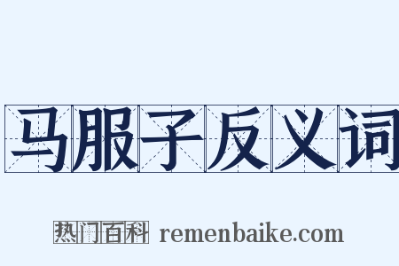 马服子反义词是什么意思的图片